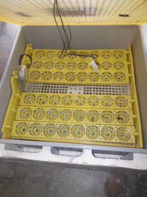 Egg Incubator