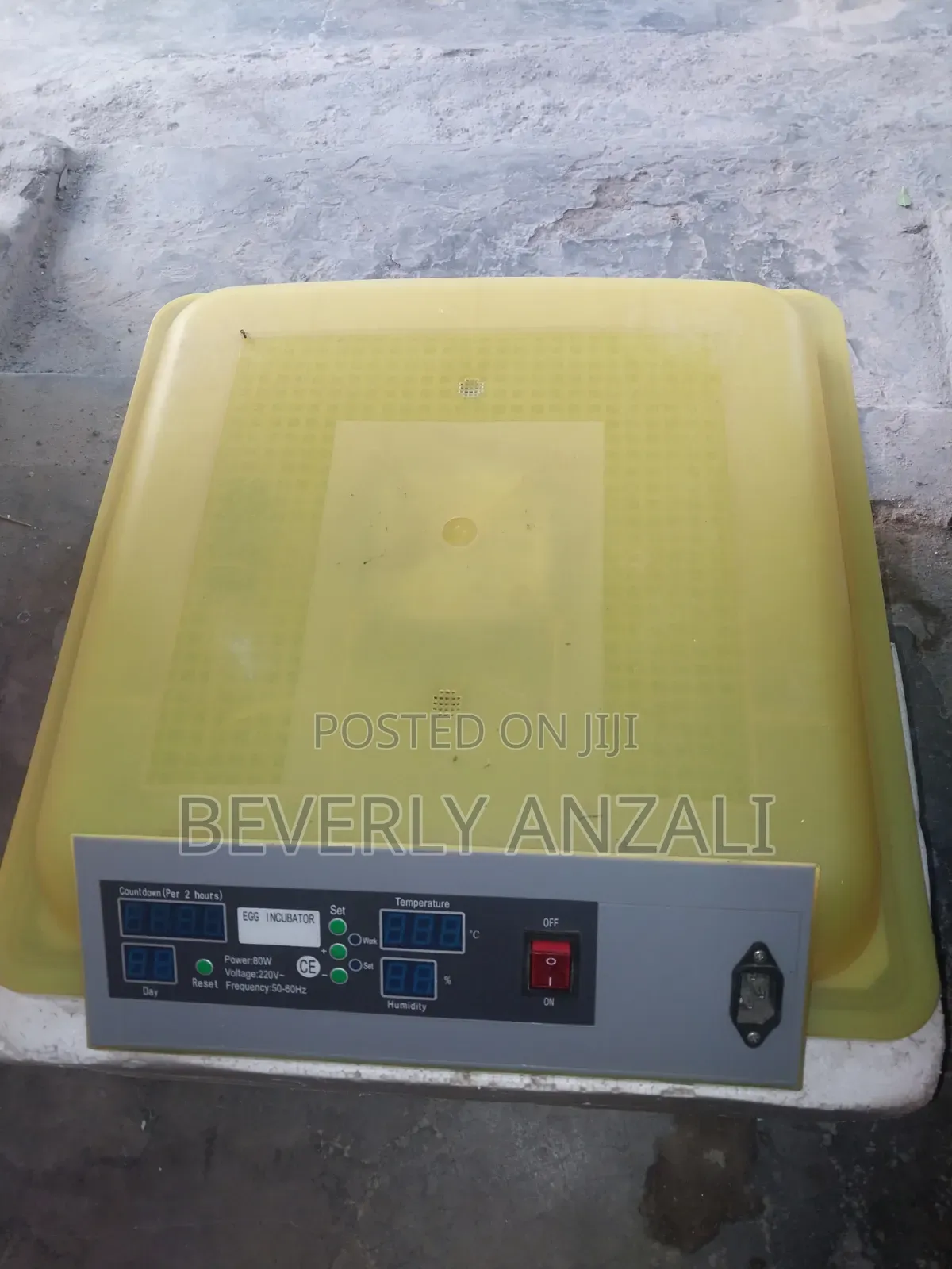 Egg Incubator