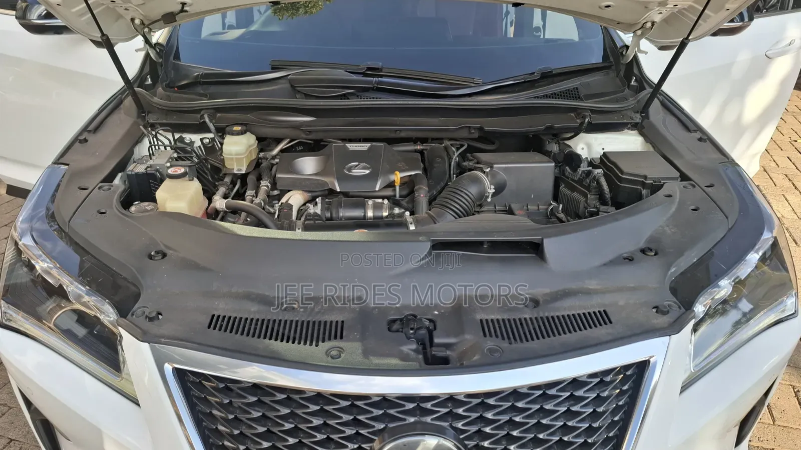 Lexus RX 2019 White
