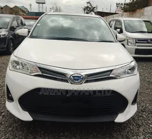 Toyota Corolla Fielder 2019 White