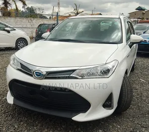 Toyota Corolla Fielder 2019 White
