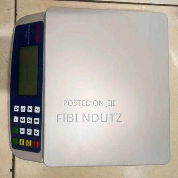 Digital Weighing Scale 30kg/30kg Scale