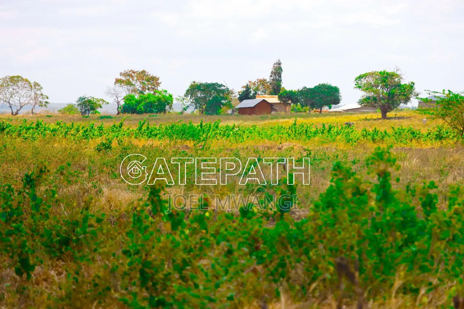 Affordable 1/4 Acres Ina Malindi [Kibaoni] at Cash Price.