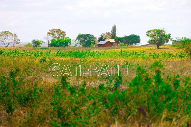 Affordable 1/4 Acres Ina Malindi [Kibaoni] at Cash Price.