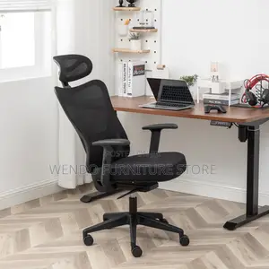 Office Chairs; Ergonomic Office Chairs With High Backrest