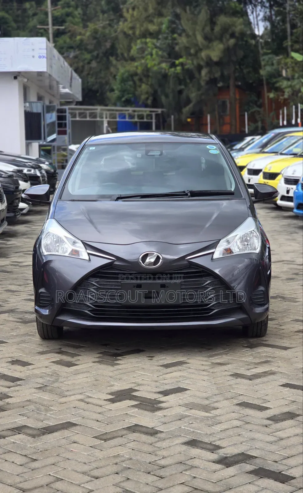 Toyota Vitz 2019 Gray