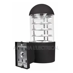 Wall Mounted Outdoor Light