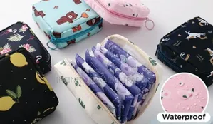 Portable Sanitary Pad Pouch