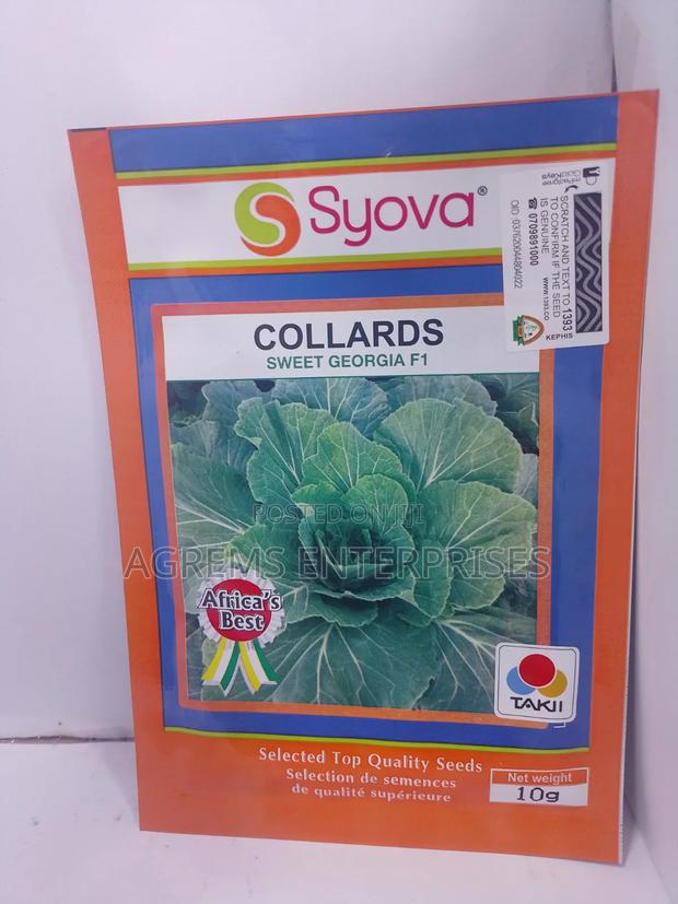 Syova Sweet Georgia F1 10 G