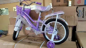 Flexi Bike Size 16"Purple