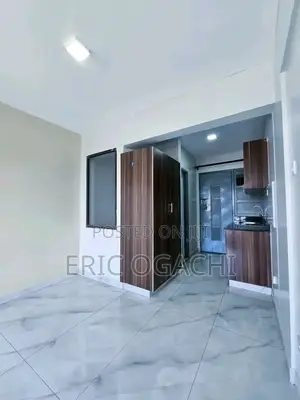 Studio Apartment in Naivasha Road, Riruta for rent