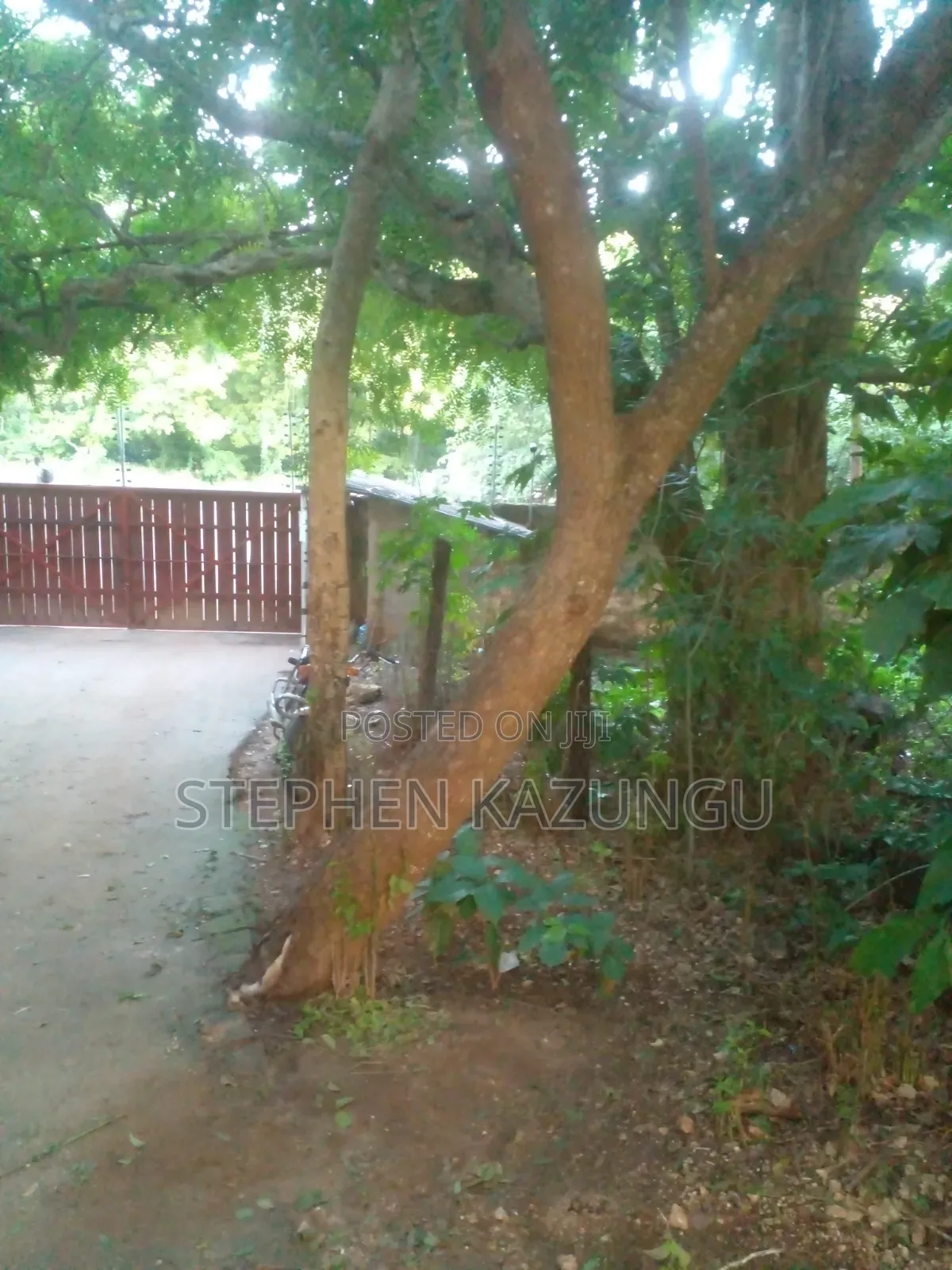 Diani Beach 1/4 Acre Plot Only 150 Metres From the Beach on 2nd Row