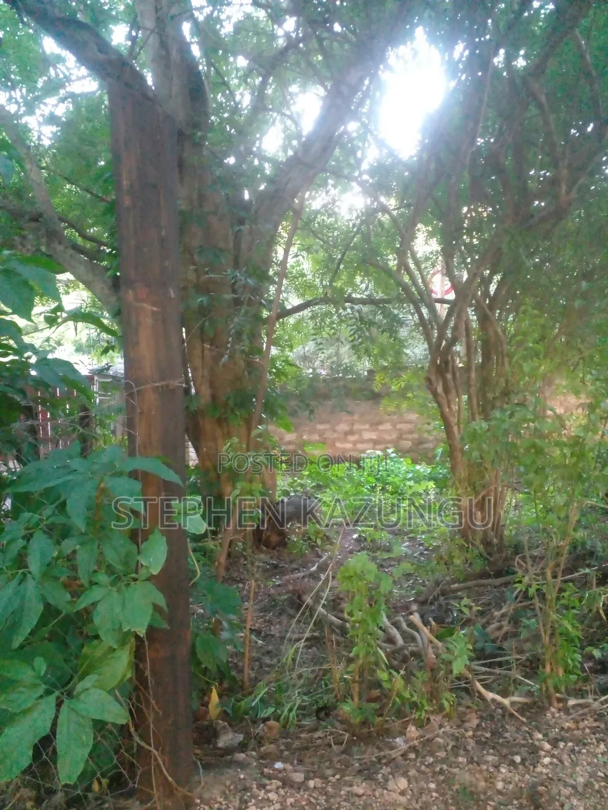 Diani Beach 1/4 Acre Plot Only 150 Metres From the Beach on 2nd Row