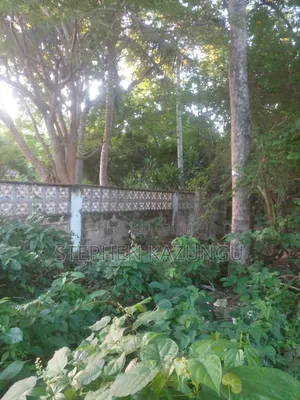 Diani Beach 1/4 Acre Plot Only 150 Metres From the Beach on 2nd Row