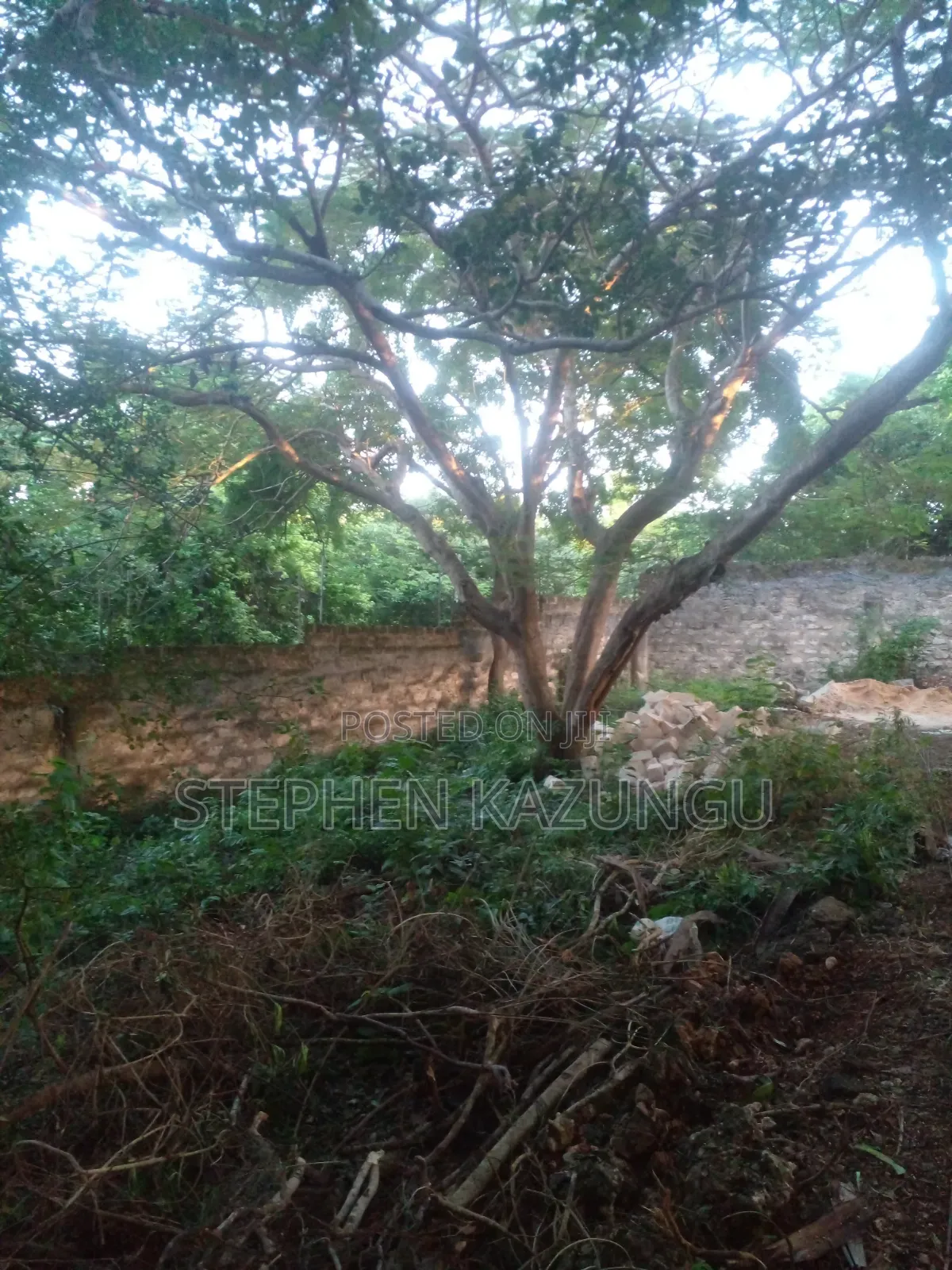 Diani Beach 1/4 Acre Plot Only 150 Metres From the Beach on 2nd Row
