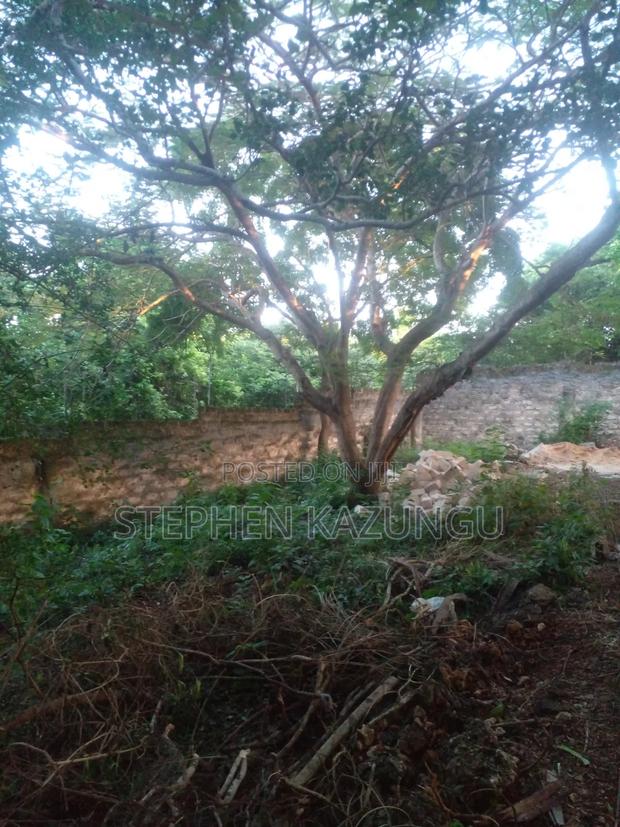 Diani Beach 1/4 Acre Plot Only 150 Metres From the Beach on 2nd Row - thumbnail 8