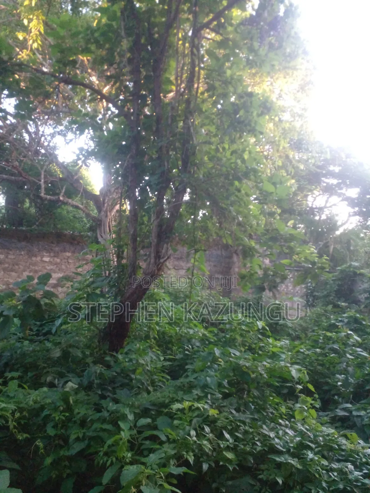 Diani Beach 1/4 Acre Plot Only 150 Metres From the Beach on 2nd Row