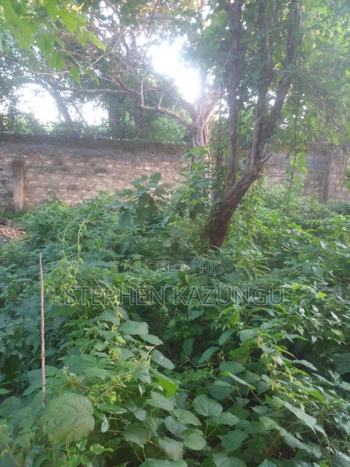 Diani Beach 1/4 Acre Plot Only 150 Metres From the Beach on 2nd Row