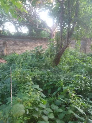 Diani Beach 1/4 Acre Plot Only 150 Metres From the Beach on 2nd Row