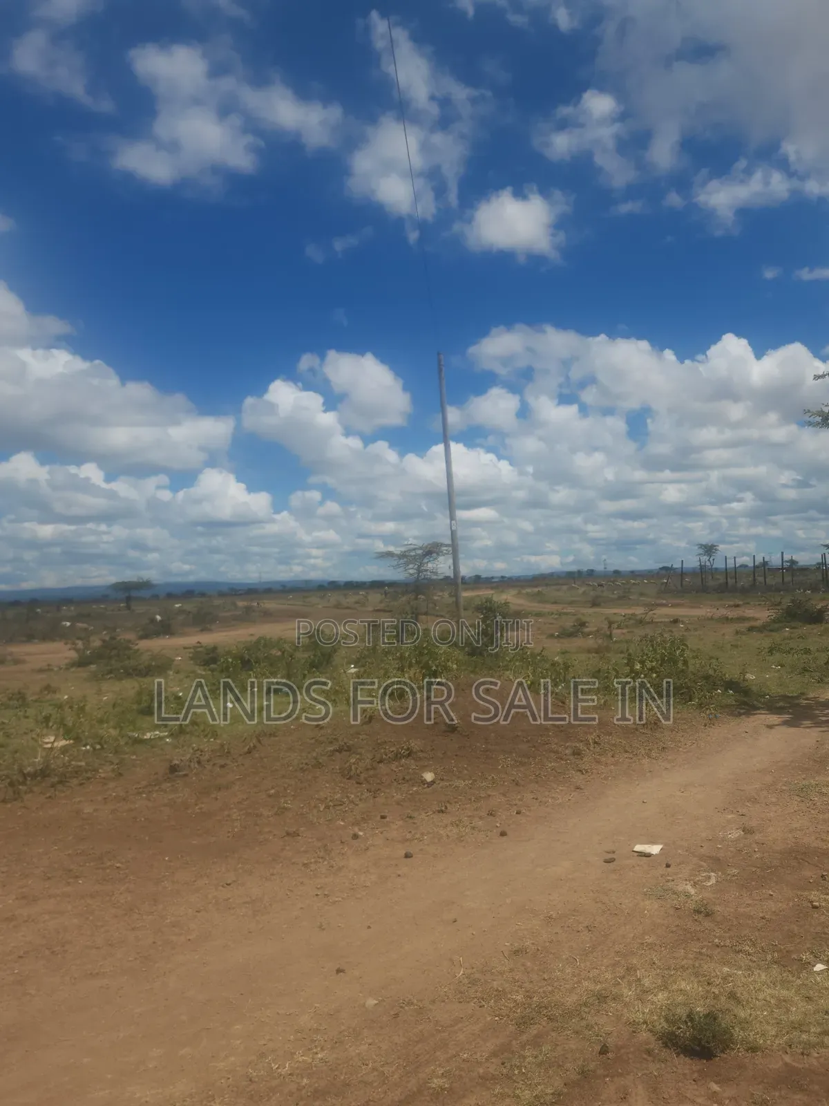 50*100 Plots For Sale In Rumuruti (Maundu Ni Meri)