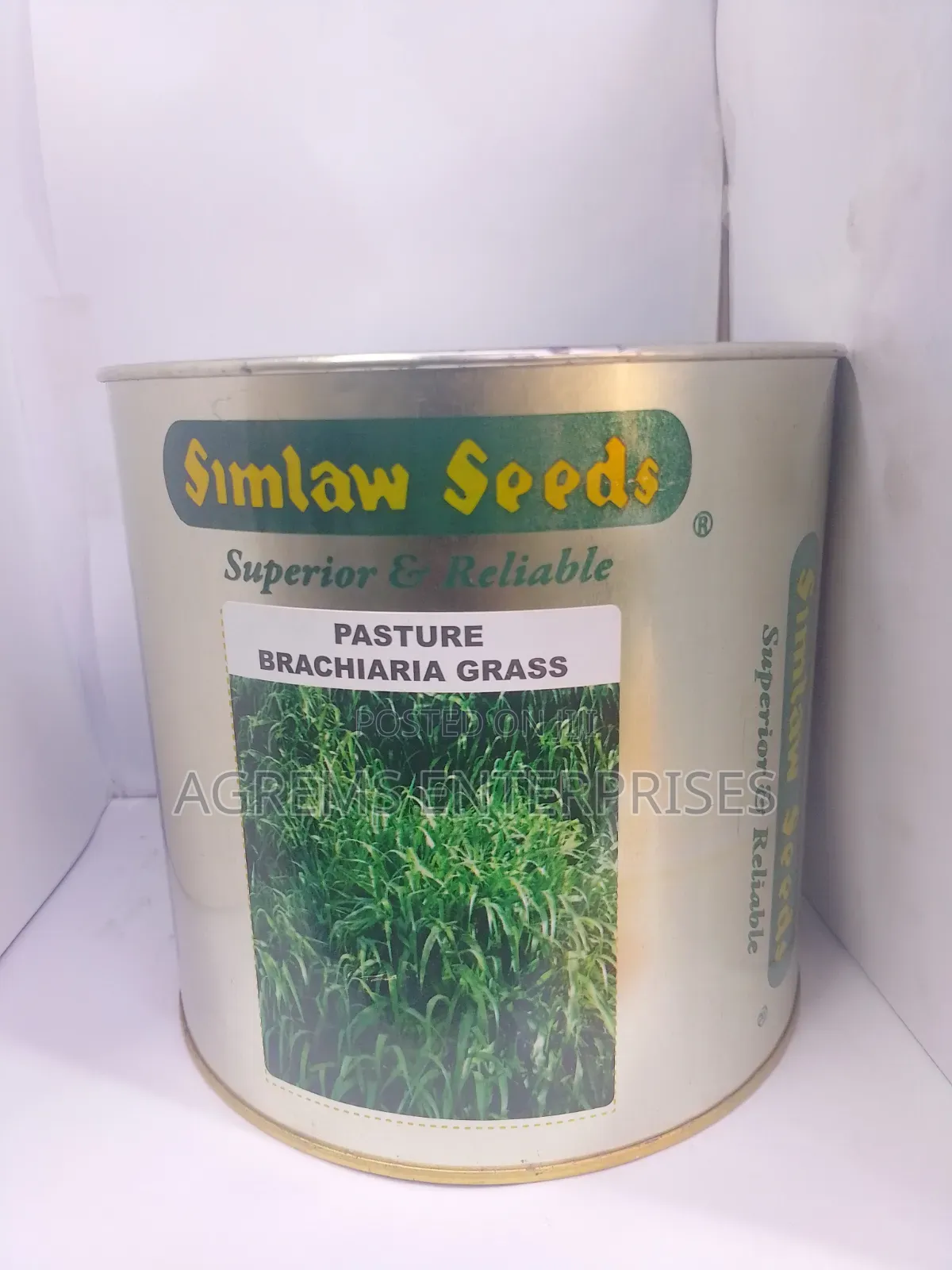 Brachiaria Grass Seeds Pasture
