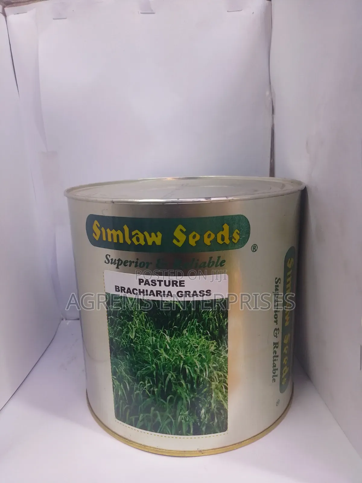 Brachiaria Grass Seeds Pasture