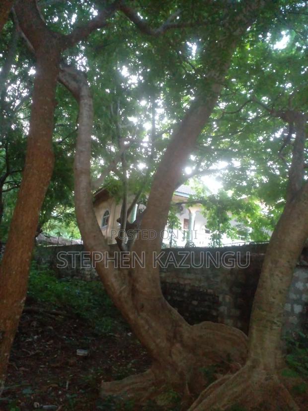 Almost 1/2 Acre Plot at 150 Metres From the Beach in Diani Beach - thumbnail 3