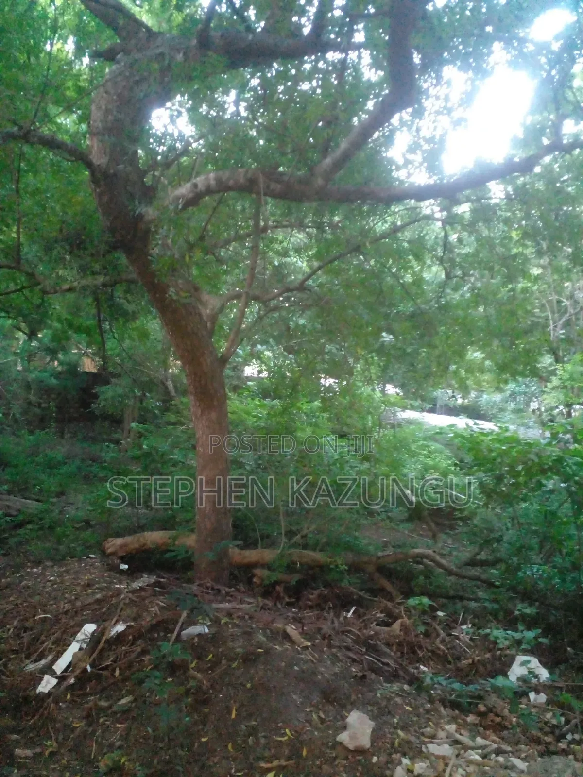 Almost 1/2 Acre Plot at 150 Metres From the Beach in Diani Beach