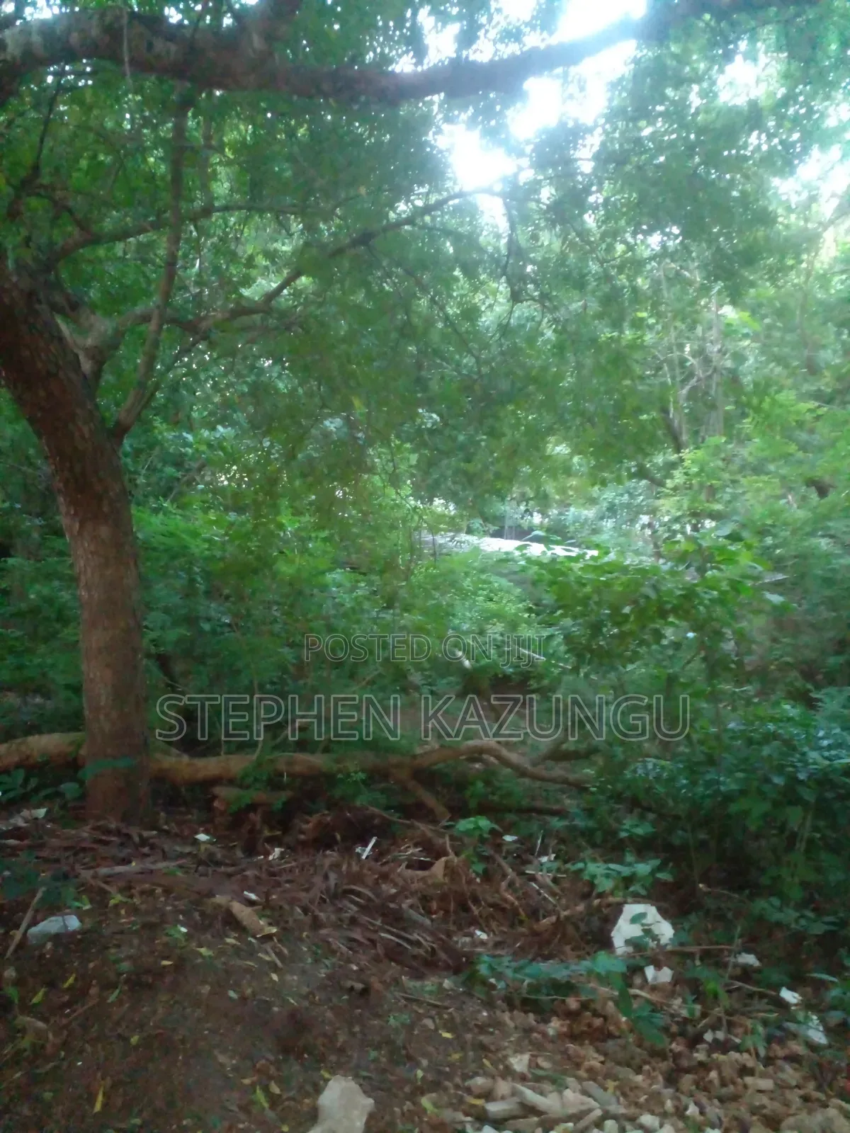 Almost 1/2 Acre Plot at 150 Metres From the Beach in Diani Beach