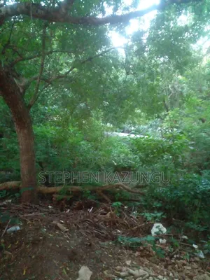 Almost 1/2 Acre Plot at 150 Metres From the Beach in Diani Beach
