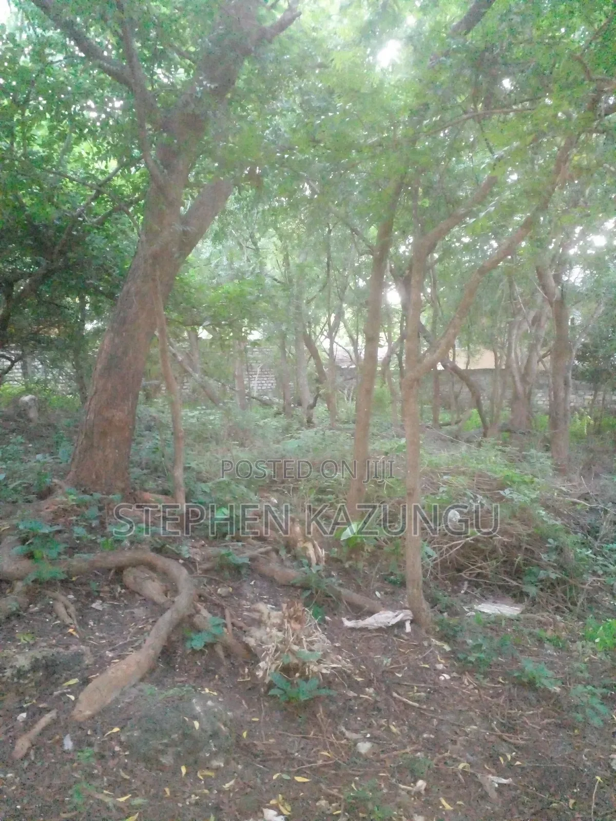 Almost 1/2 Acre Plot at 150 Metres From the Beach in Diani Beach