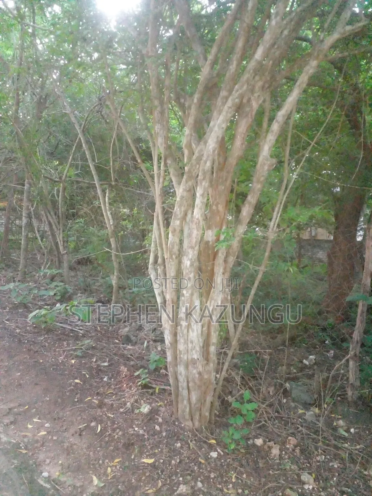 Almost 1/2 Acre Plot at 150 Metres From the Beach in Diani Beach