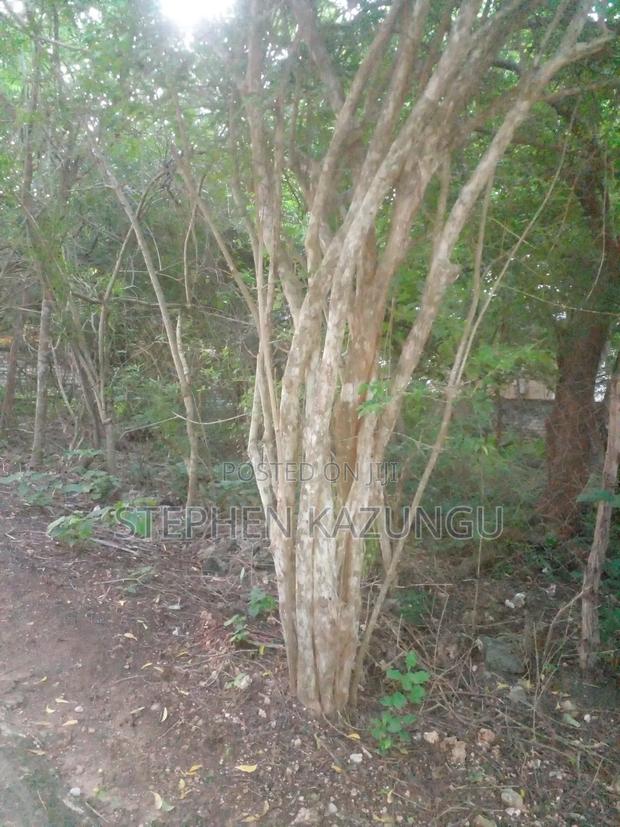 Almost 1/2 Acre Plot at 150 Metres From the Beach in Diani Beach - thumbnail 8