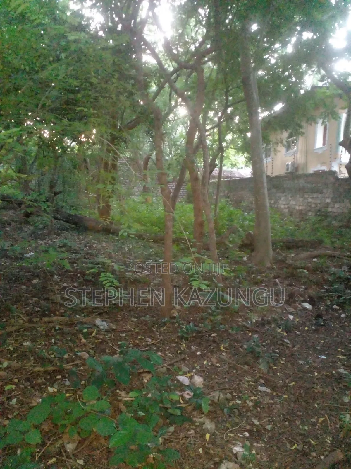 Almost 1/2 Acre Plot at 150 Metres From the Beach in Diani Beach