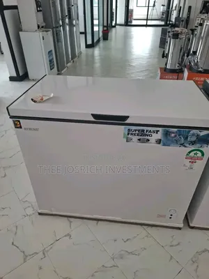 Rebune 250 Litres Deep Freezer
