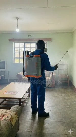 Professional House Sofa Deep Cleaning Services in Nakuru