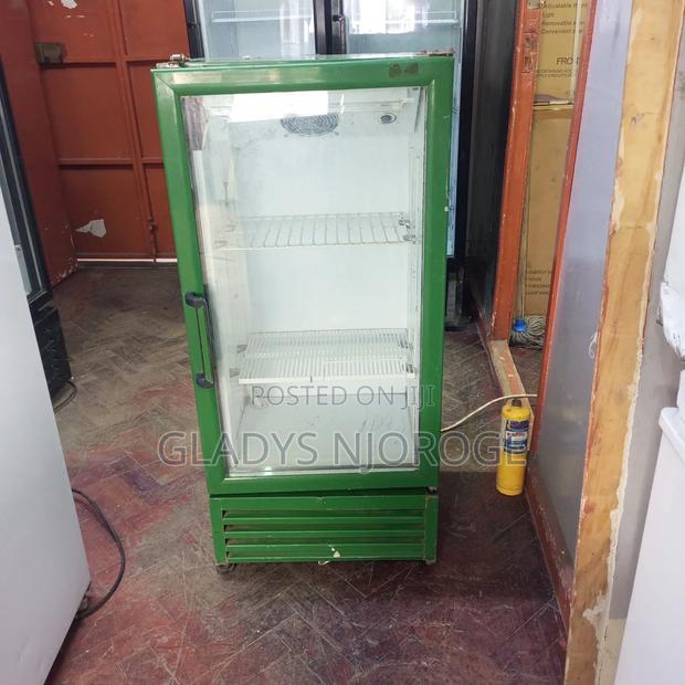 Green Min Two Tray Fridge Chiller Fridge - thumbnail 2