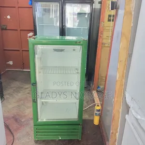 Green Min Two Tray Fridge Chiller Fridge