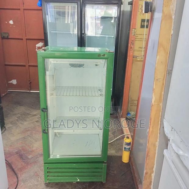 Green Min Two Tray Fridge Chiller Fridge - thumbnail 4