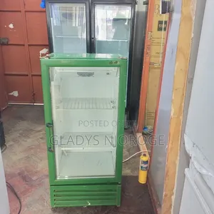 Green Min Two Tray Fridge Chiller Fridge