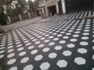 Professional Cabro Paving Installation and Polishing