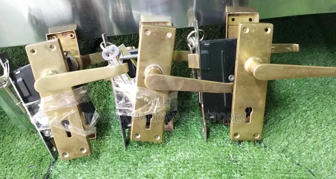 Stainless Steel Door Locks