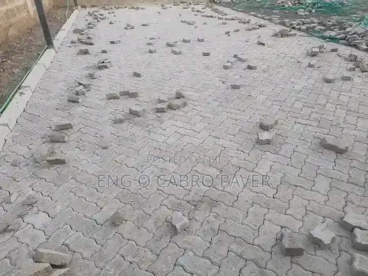 Cabro Installation and Polishing Ground Preparation Landscape