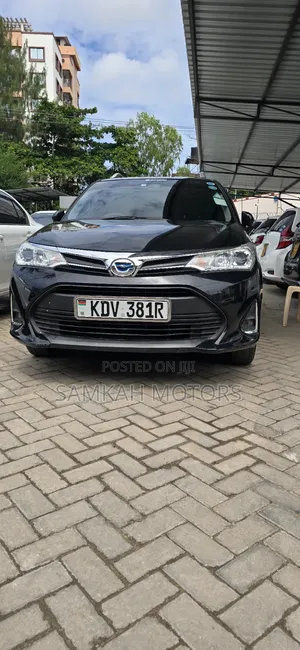 Toyota Corolla Fielder 2018 Black
