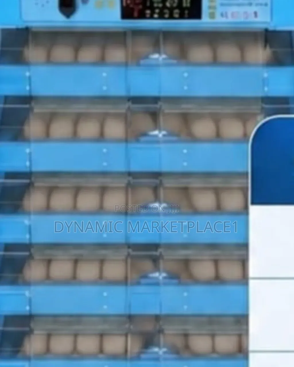 Premier 128 Eggs Incubator