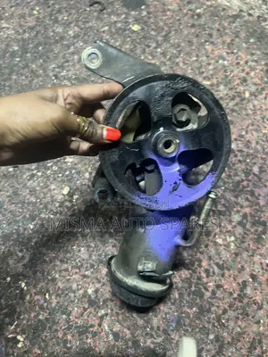 Power Steering Pump for Probox /Nze/Fielder