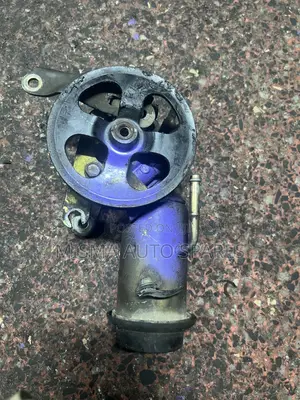 Power Steering Pump for Probox /Nze/Fielder