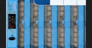 Premier 1056 Eggs Incubator