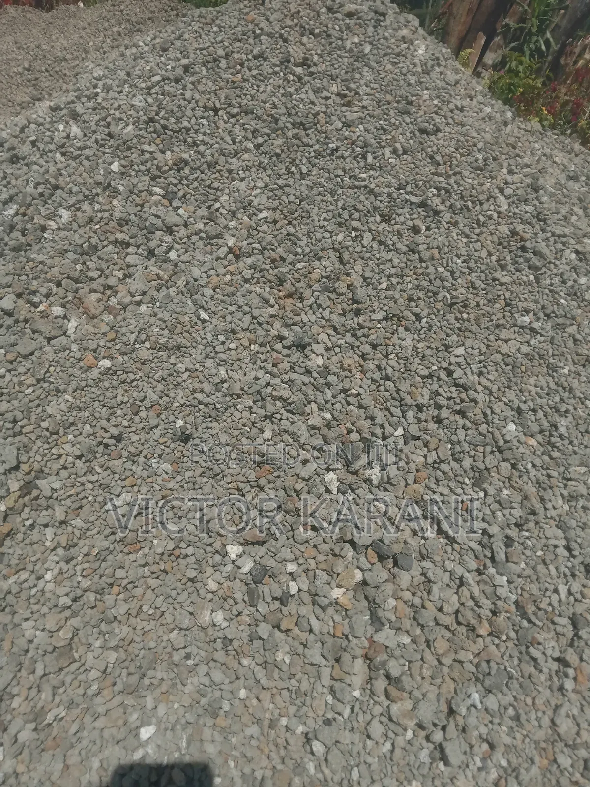 Pumice Soil