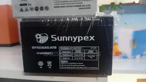 Sunnypex 12 Ah Deep Cycle Battery